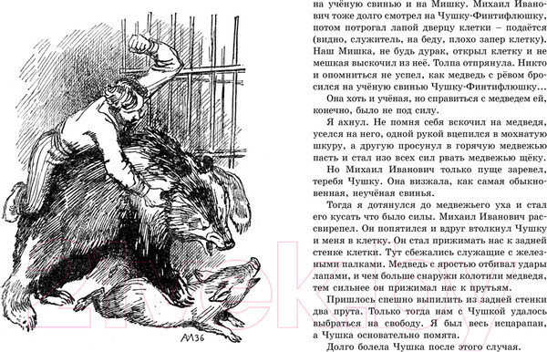 Изображение товара Книга Махаон Мои звери (Дуров В.)