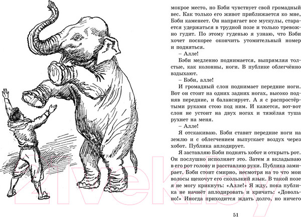 Изображение товара Книга Махаон Мои звери (Дуров В.)