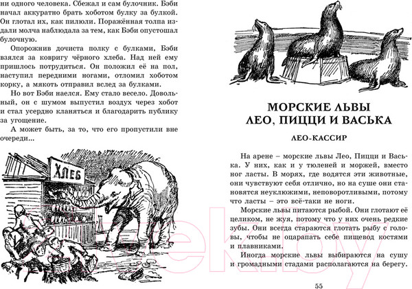 Изображение товара Книга Махаон Мои звери (Дуров В.)