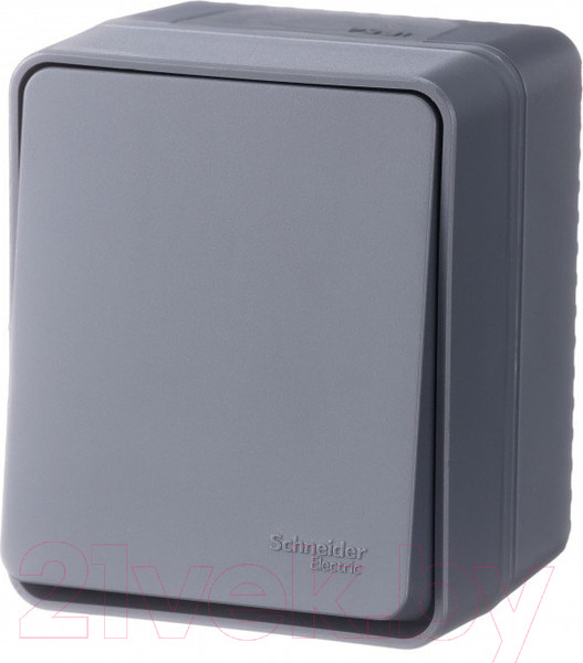 Изображение товара Выключатель Systeme (Schneider) Electric AtlasDesign ATN544011