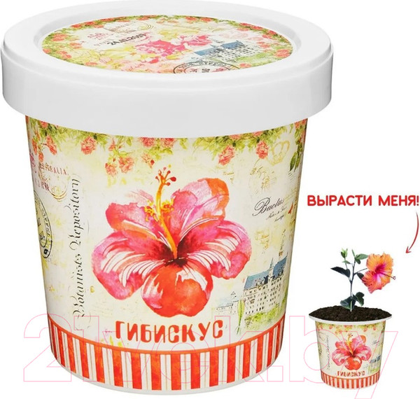 Изображение товара Набор для выращивания растений Rostokvisa Гибискус / 96486