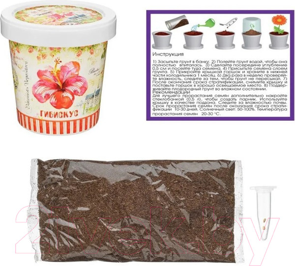 Изображение товара Набор для выращивания растений Rostokvisa Гибискус / 96486