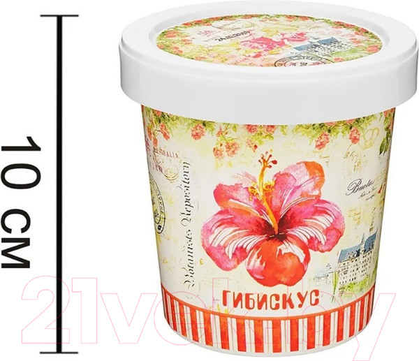 Изображение товара Набор для выращивания растений Rostokvisa Гибискус / 96486