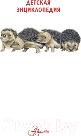 Изображение товара Энциклопедия АСТ Детеныши животных (МакРей Э.)