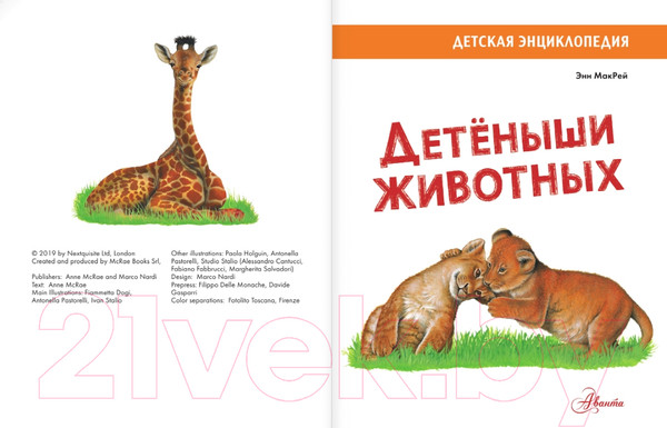 Изображение товара Энциклопедия АСТ Детеныши животных (МакРей Э.)