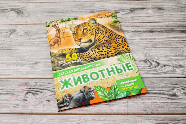 Изображение товара Энциклопедия АСТ Животные (Агоста Л.)