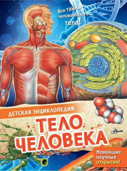 Изображение товара Энциклопедия АСТ Тело человека (МакРей Э.)