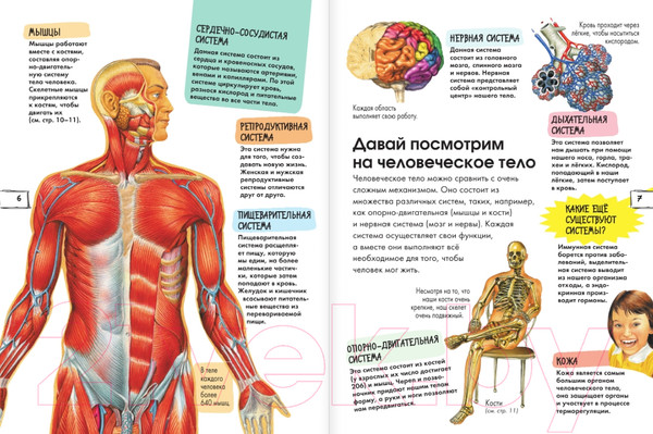Изображение товара Энциклопедия АСТ Тело человека (МакРей Э.)