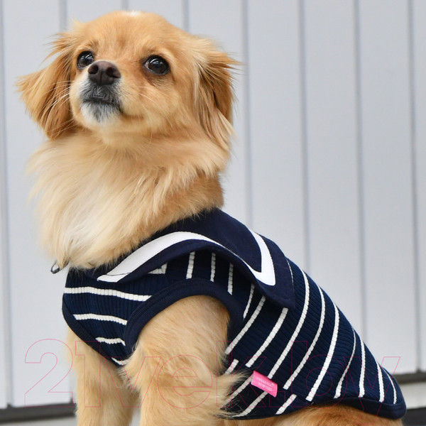 Изображение товара Футболка для животных Pinkaholic Cordelia / NAUA-TS7601-NY-M (в полоску, синий)