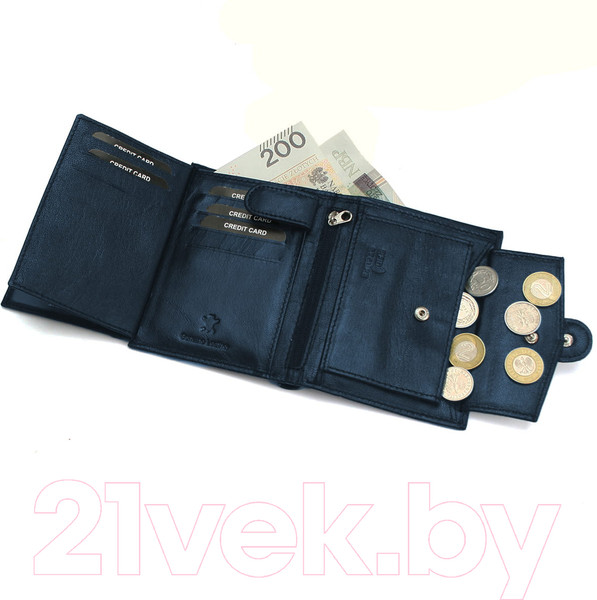 Изображение товара Портмоне Sanchez Casual Classic / AM-102R-123A (синий)