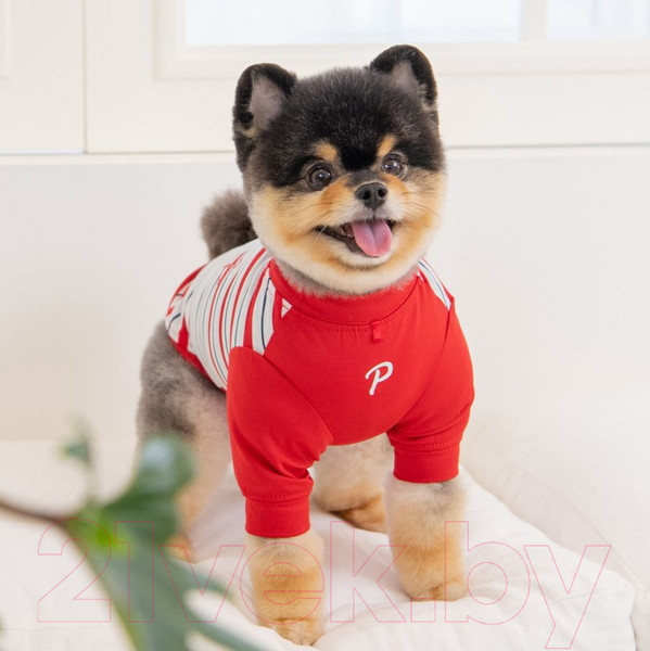 Изображение товара Свитер для животных Puppia Marino / PAWA-TS1942-RD-M (красный)