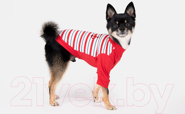 Изображение товара Свитер для животных Puppia Marino / PAWA-TS1942-RD-S (красный)