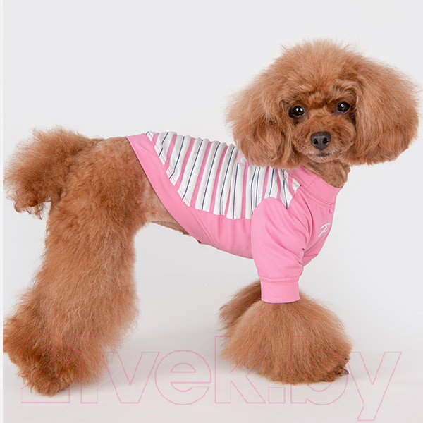 Изображение товара Свитер для животных Puppia Marino / PAWA-TS1942-PK-S (розовый)