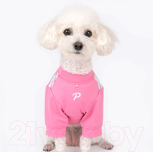 Изображение товара Свитер для животных Puppia Marino / PAWA-TS1942-PK-S (розовый)