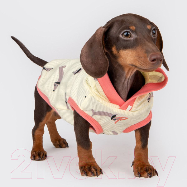 Изображение товара Футболка для животных Puppia Sammy с капюшоном / PAWA-TS1949-YE-M (желтый)