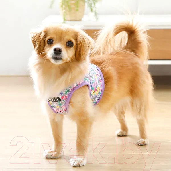 Изображение товара Шлея-жилетка для животных Puppia Lita-B / PAWA-HB1959-PU-S (фиолетовый)