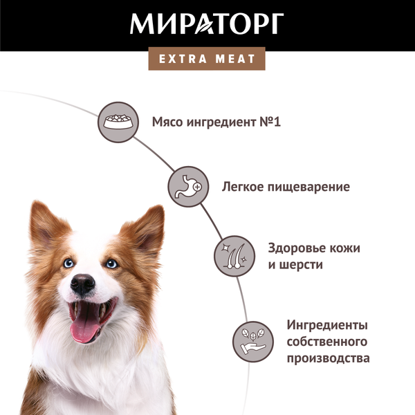 Изображение товара Сухой корм для собак Мираторг Extra Meat для взр. собак средних пород говядина / 1010024078 (2.6кг)