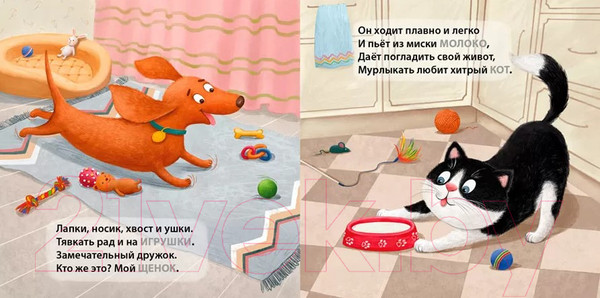 Изображение товара Развивающая книга Робинс Загадки-рифмы. Домашние животные