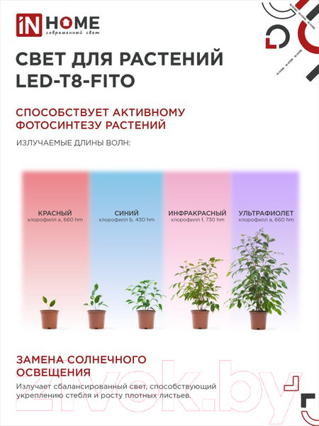 Изображение товара Светильник для растений INhome LED-T8-FITO / 4690612033761