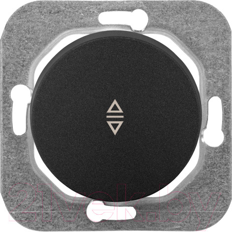 Изображение товара Выключатель Bylectrica С6/2 10-3362 (графит)