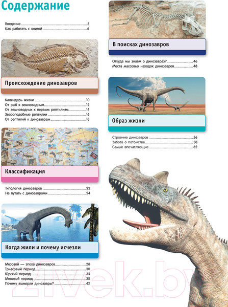 Изображение товара Энциклопедия Эксмо Тайны динозавров. Самая невероятная энциклопедия (Владимирова В.)