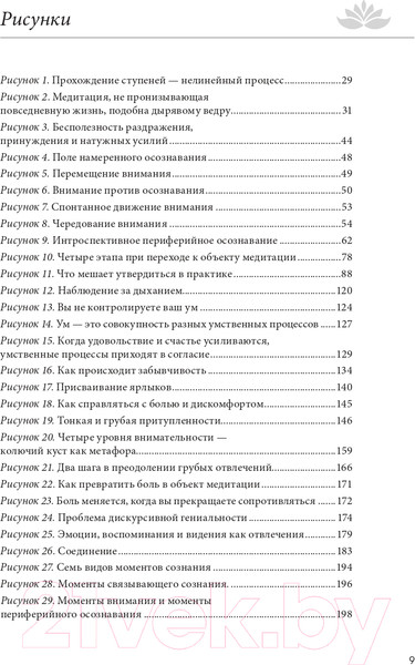 Изображение товара Книга Эксмо Свет ума. Подробный путеводитель по медитации (Куладаса Д.)
