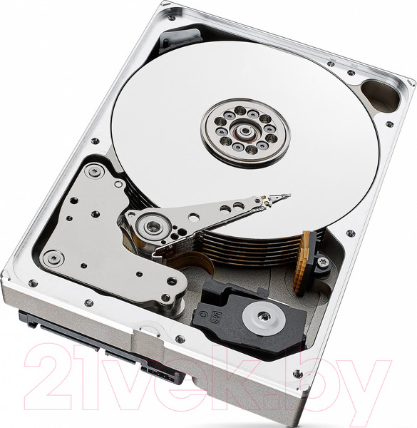 Изображение товара Жесткий диск Seagate 10TB (ST10000VE000)