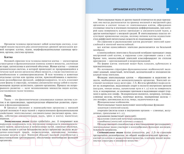 Изображение товара Атлас АСТ Атлас анатомии и физиологии человека (Самусев Р.П.)