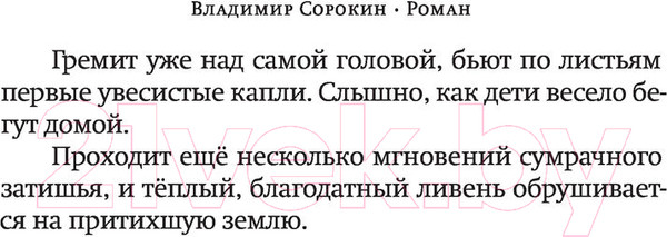 Изображение товара Книга АСТ Роман (Сорокин В.Г.)