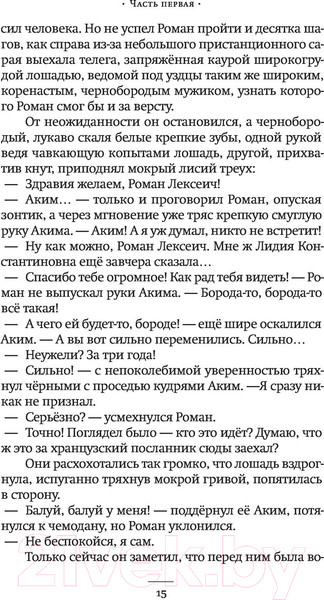 Изображение товара Книга АСТ Роман (Сорокин В.Г.)