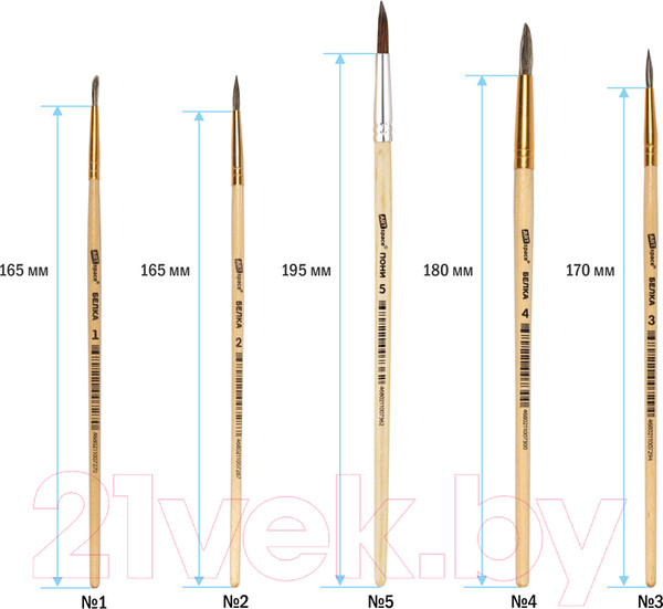 Изображение товара Набор кистей ArtSpace Белка / SB1-5_2388 (5шт)