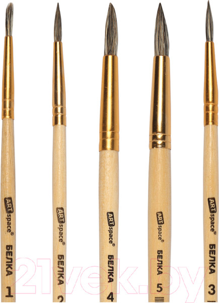 Изображение товара Набор кистей ArtSpace Белка / SB1-5_2388 (5шт)