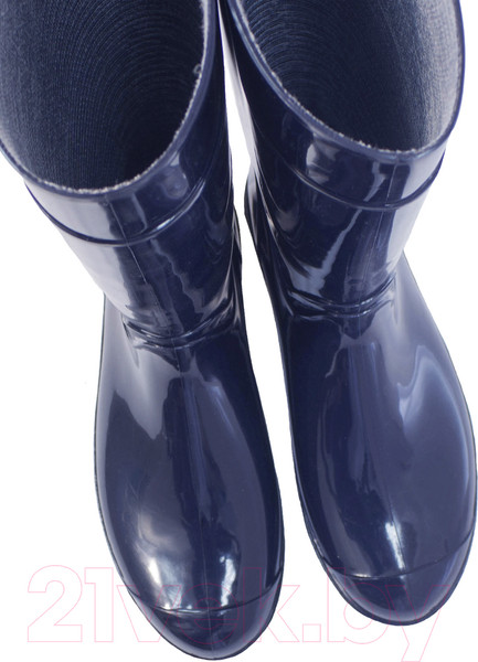 Изображение товара Сапоги резиновые O'rain 14(С)360С (р.37, синий)