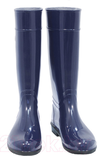 Изображение товара Сапоги резиновые O'rain 14(С)360С (р.37, синий)
