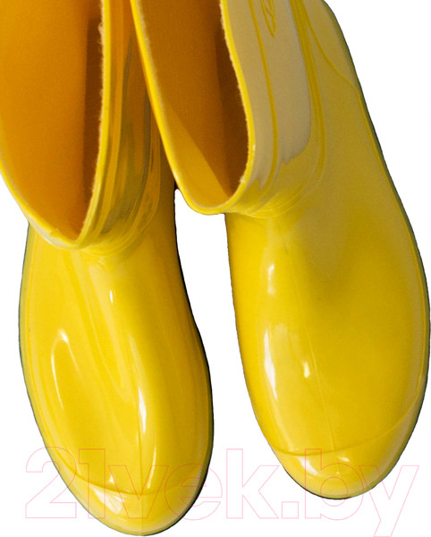 Изображение товара Сапоги резиновые O'rain 14(С)360С (р-р 38, желтый)