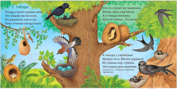 Изображение товара Развивающая книга Робинс Книжки-картонки. Удивительные дома животных