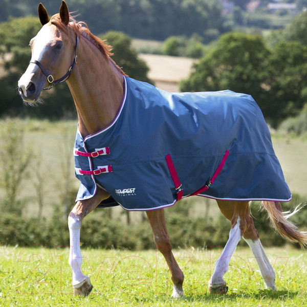 Изображение товара Попона для лошади Shires Tempest Original Lite / 9330/TEAL/78 (чирок)