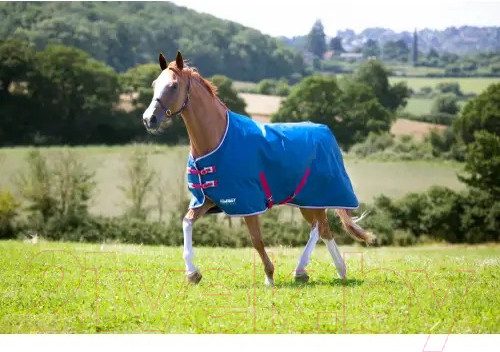 Изображение товара Попона для лошади Shires Tempest Original Lite / 9330/TEAL/78 (чирок)