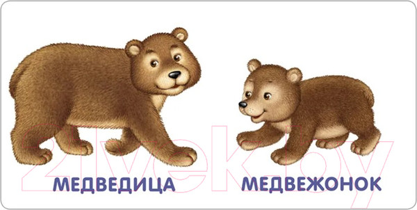 Изображение товара Развивающая книга Робинс Книжки-картонки. Животные и детеныши