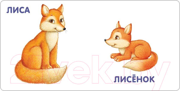 Изображение товара Развивающая книга Робинс Книжки-картонки. Животные и детеныши