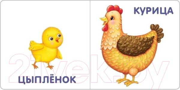 Изображение товара Развивающая книга Робинс Книжки-картонки. Малыши и мамы