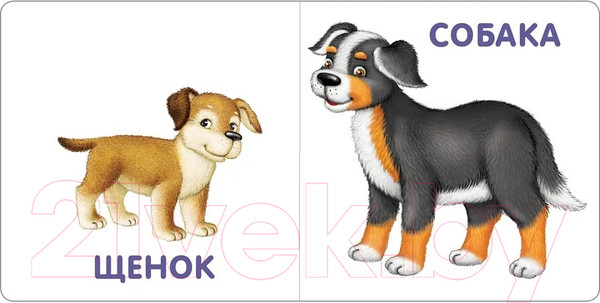 Изображение товара Развивающая книга Робинс Книжки-картонки. Малыши и мамы