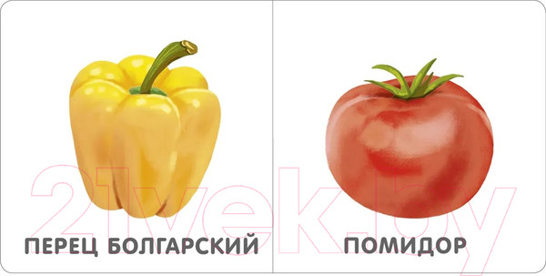 Изображение товара Развивающая книга Робинс Книжки-картонки. Овощи