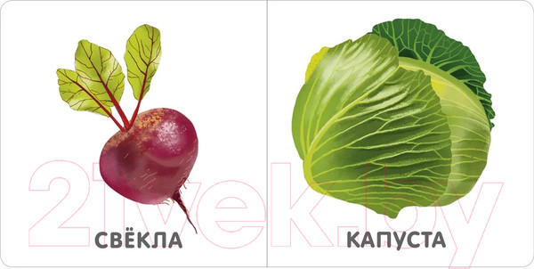 Изображение товара Развивающая книга Робинс Книжки-картонки. Овощи