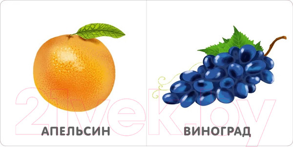 Изображение товара Развивающая книга Робинс Книжки-картонки. Фрукты и ягоды