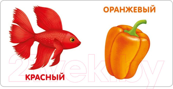 Изображение товара Развивающая книга Робинс Книжки-картонки. Цвета в природе