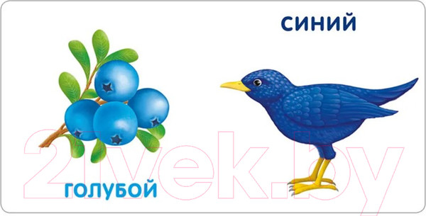 Изображение товара Развивающая книга Робинс Книжки-картонки. Цвета в природе