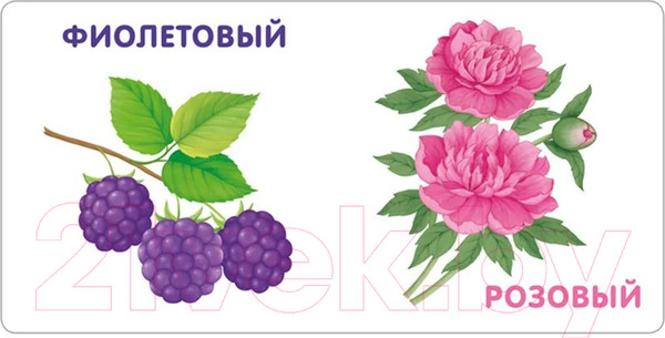 Изображение товара Развивающая книга Робинс Книжки-картонки. Цвета в природе