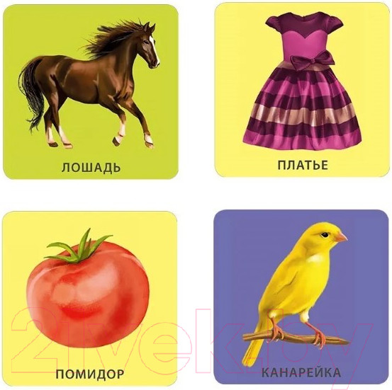 Изображение товара Развивающие карточки Робинс Начинаю говорить. Мои первые слова и картинки