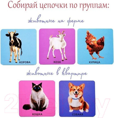 Изображение товара Развивающие карточки Робинс Начинаю говорить. Мои первые слова и картинки
